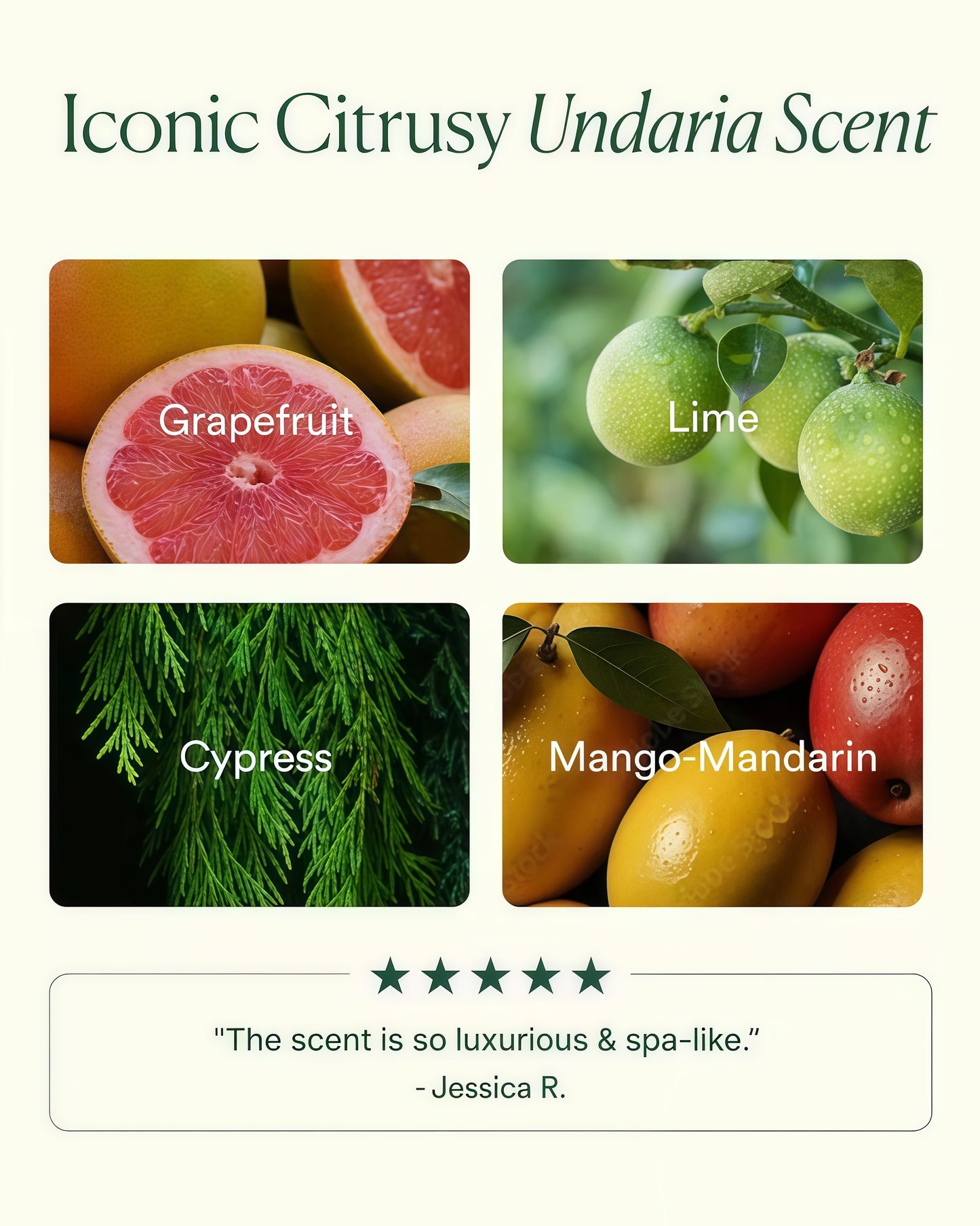 OSEA Undaria Algae Body Oil 5 oz – Visibly Firming, Deeply Moisturizing, Instantly Improve Elasticity, Clean Lightweight Non-Greasy Hydration, Vegan & Cruelty-Free Seaweed Skincare